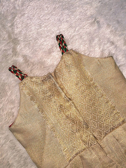 Elegant Tissue Fabric Frock with Hand Embroidery – Bird Motif